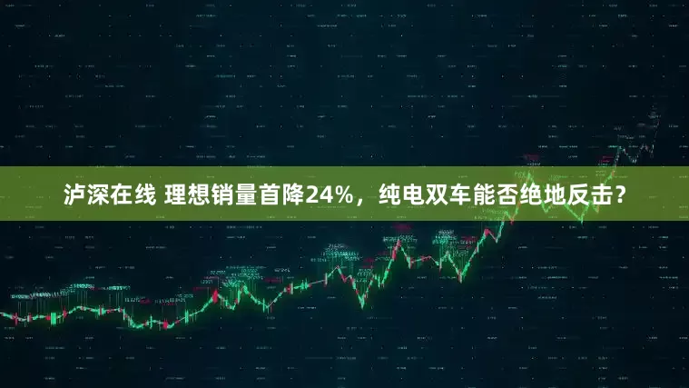 泸深在线 理想销量首降24%，纯电双车能否绝地反击？