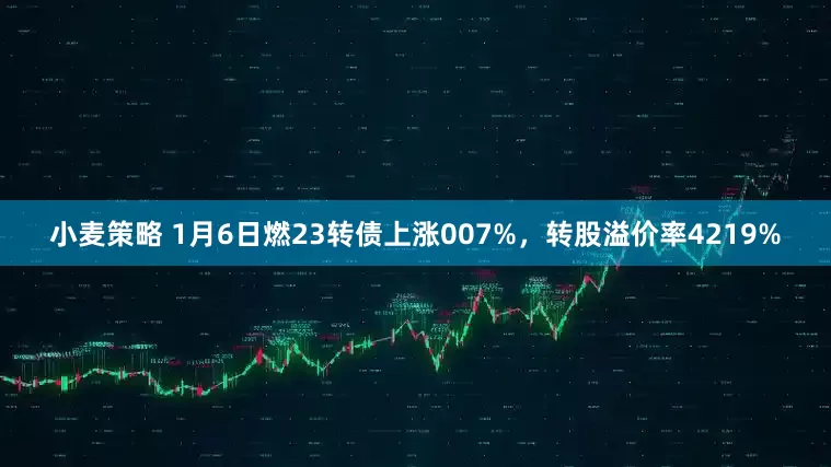 小麦策略 1月6日燃23转债上涨007%，转股溢价率4219%