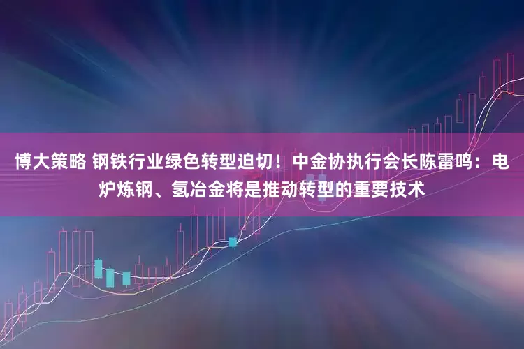 博大策略 钢铁行业绿色转型迫切！中金协执行会长陈雷鸣：电炉炼钢、氢冶金将是推动转型的重要技术